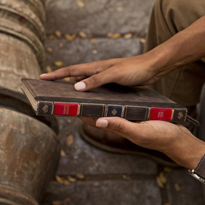 Twelve South - Twelve South iPad mini 6 2021 Fodral - Brun