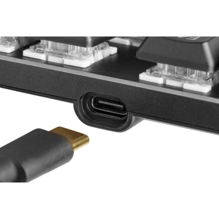 UTGATT1 - Deltaco TKL Mekaniskt tangentbord, röda brytare, RGB