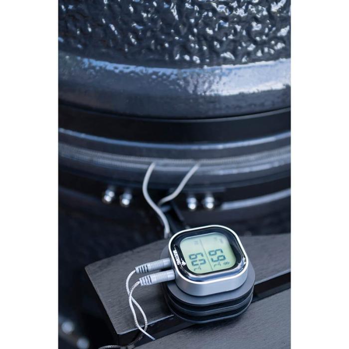 Mustang - MUSTANG Digital Termometer App
