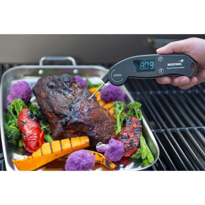 Mustang - MUSTANG Termometer Digital Foldable