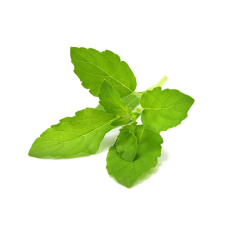Click and Grow - Click and Grow Smart Garden Refill 3-pack - Helig basilika