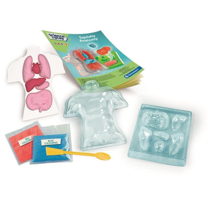 CLEMENTONI - CLEMENTONI Mini Squishy Organs