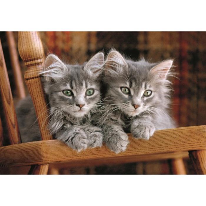 CLEMENTONI - CLEMENTONI Pussel 500 Pcs CB High Quality Collection Kittens