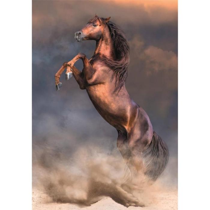 CLEMENTONI - CLEMENTONI Pussel 500 Pcs CB High Quality Collection Wild Red Stallion