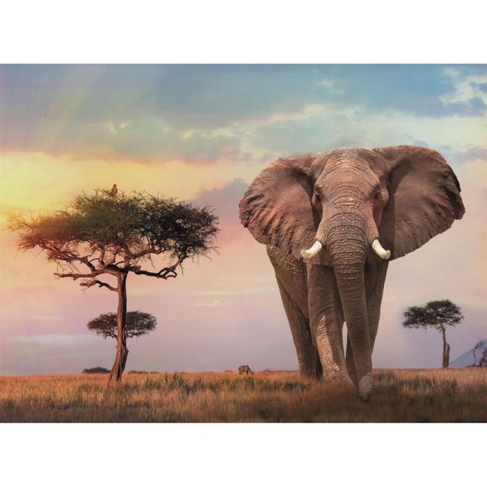 CLEMENTONI - CLEMENTONI Pussel 500 Pcs High Quality Collection African Sunset