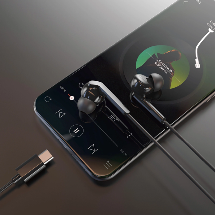 Dudao - Dudao In-Ear Hörlurar USB-C 1.2m X3C Plus - Svart