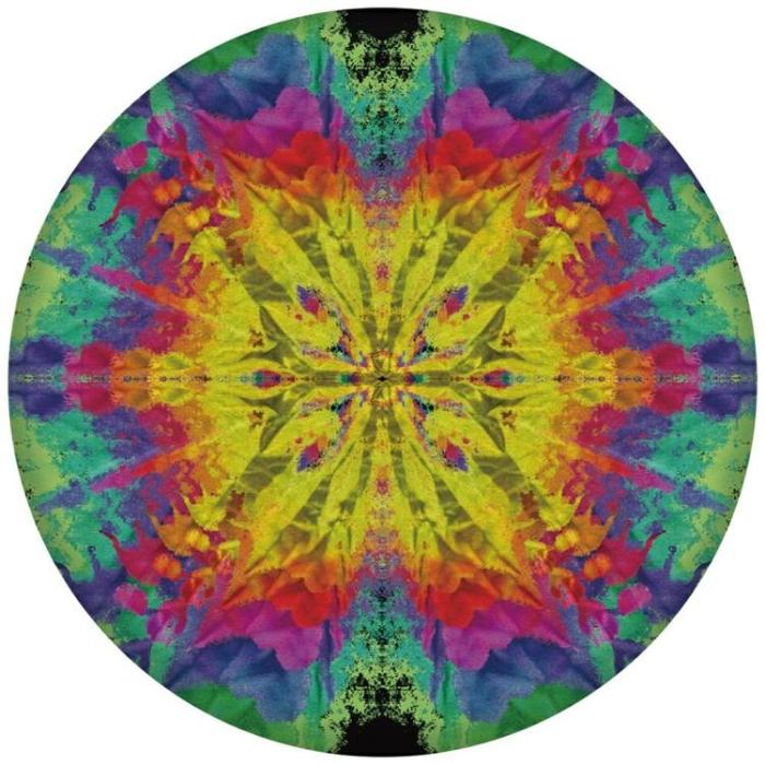 Waboba - Waboba Wingman Pro Silikon Disc Frisbee 20cm