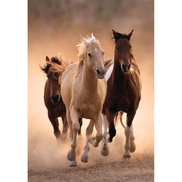 CLEMENTONI - CLEMENTONI Pussel 1000 Pcs CB High Quality Collection Running Horses