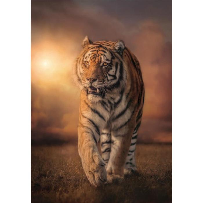 CLEMENTONI - CLEMENTONI Pussel 1000 Pcs CB High Quality Collection Tiger