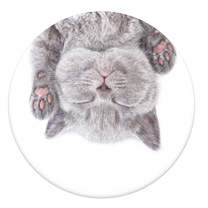 PopSockets - POPSOCKETS Cat Nap