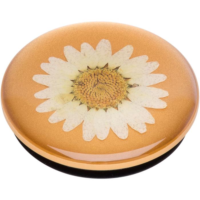 PopSockets - POPSOCKETS Pressed Flower White Daisy Avtagbart Grip