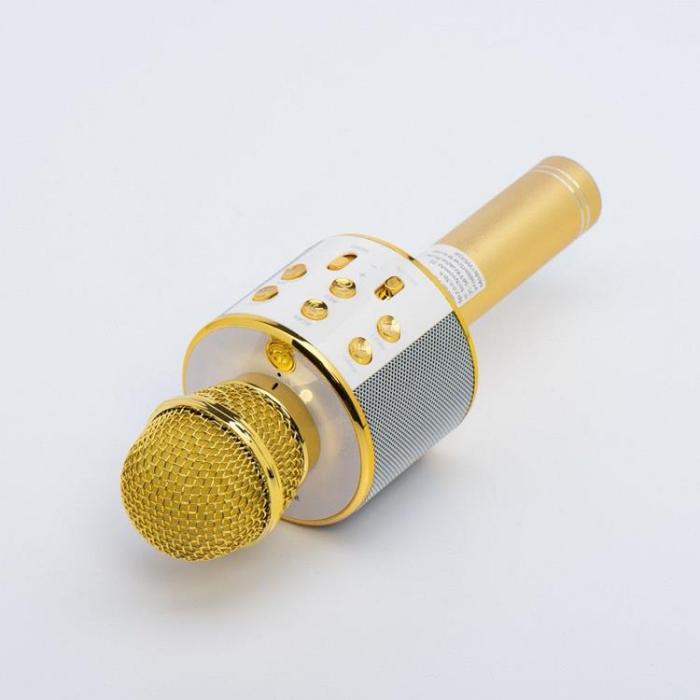 OEM - Multimedia Karaoke Mikrofon CR58 - Guld