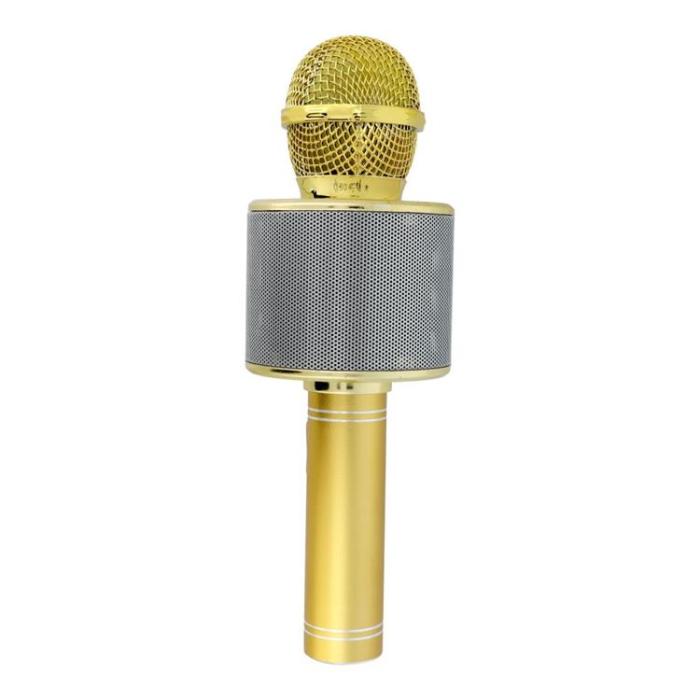 OEM - Multimedia Karaoke Mikrofon CR58 - Guld