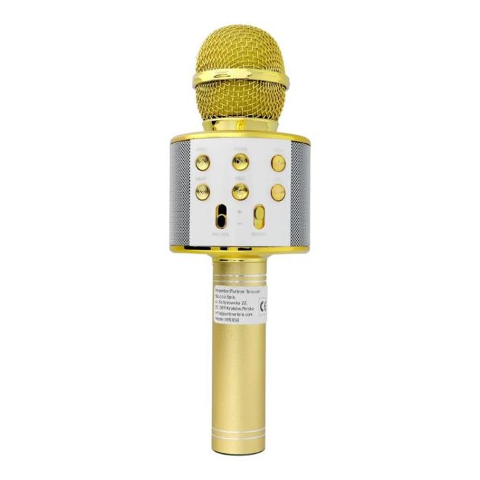 OEM - Multimedia Karaoke Mikrofon CR58S HQ - Guld