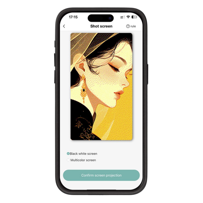 A-One Brand - iPhone 15 Pro Max Mobilskal E Ink 4-Color Display Customized