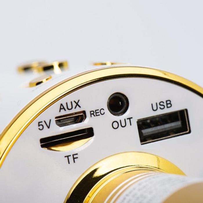 OEM - Multimedia Karaoke Mikrofon CR58S HQ - Guld