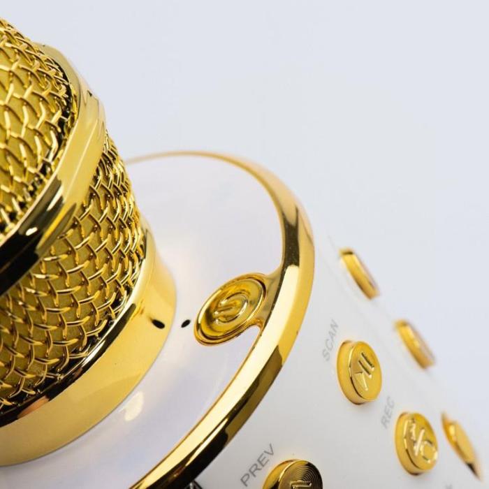 OEM - Multimedia Karaoke Mikrofon CR58S HQ - Guld