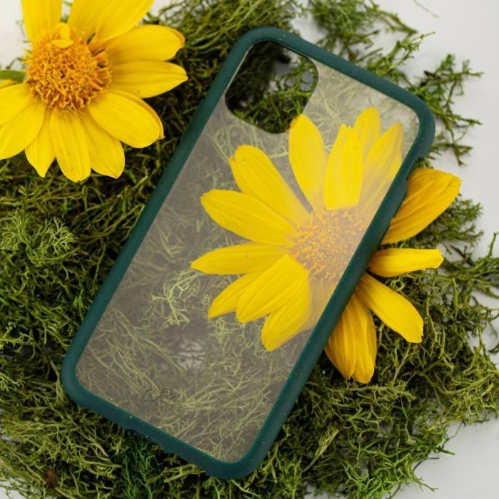 Pela - Pela Clear - Miljövänligt iPhone 11 skal