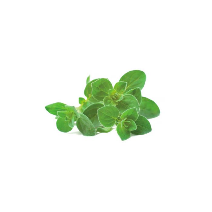 Click and Grow - Click and Grow Smart Garden Refill 3-pack - Gul paprika
