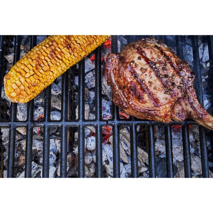 Char-Broil - Char-Broil Hybridgrill Gas2Coal 2.0 330 140925