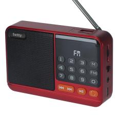 Setty - Setty Mini FM Radio med Bluetooth Högtalare SFM-01M