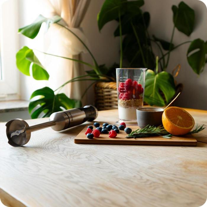 Huslog - Huslog Hand Blender 1500W HUS1047