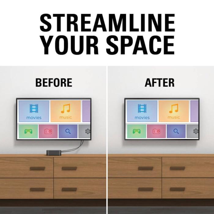 Sanus - SANUS Streaming Device Panel