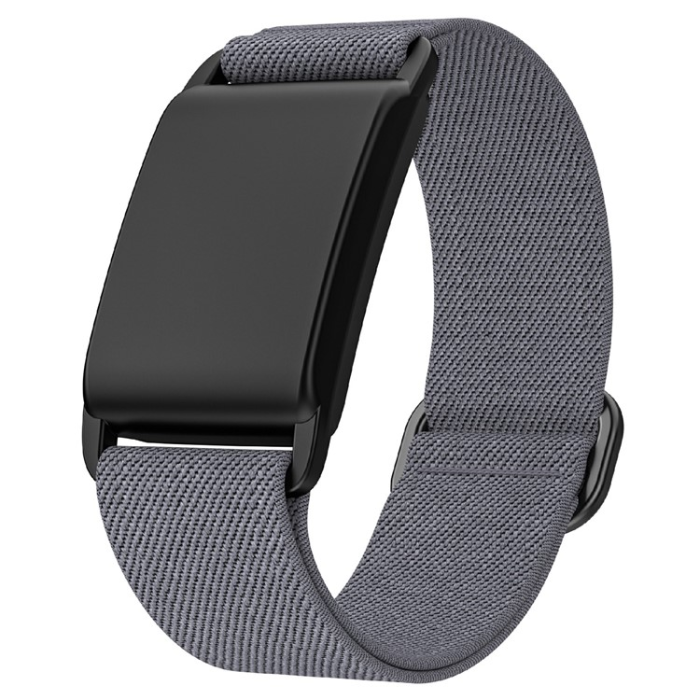 A-One Brand - Whoop 4.0 Armband Elastic Polyester - Grå