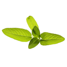 Click and Grow - Click and Grow Smart Garden Refill 3-pack - Salvia