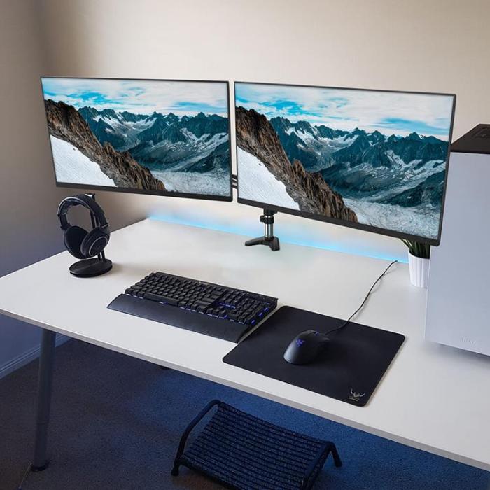 BUFFALO - Desire2 Monitor Arm Duo Aluminium Gas