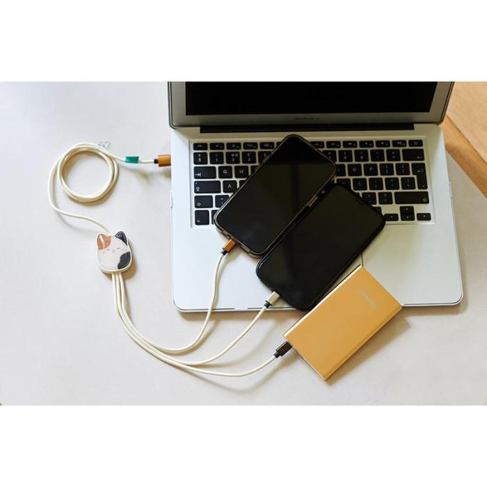 SQUISH - SQUISH Laddningskabel 1,2m Cam 3in1 USB-C/Micro/Lightning
