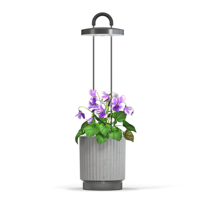 Click and Grow - Click & Grow x HydroVase - Grå