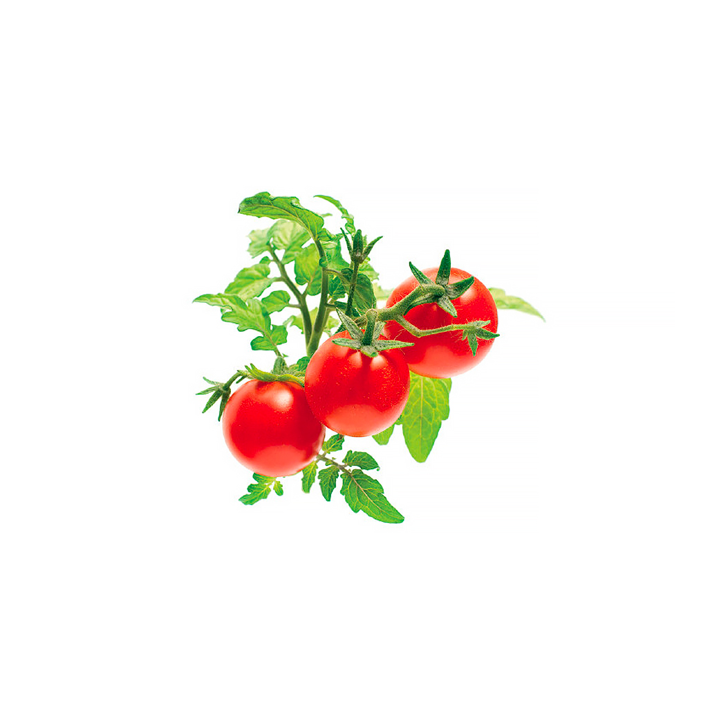 Click and Grow
Click and Grow Smart Garden Refill 3-pack - Minitomater