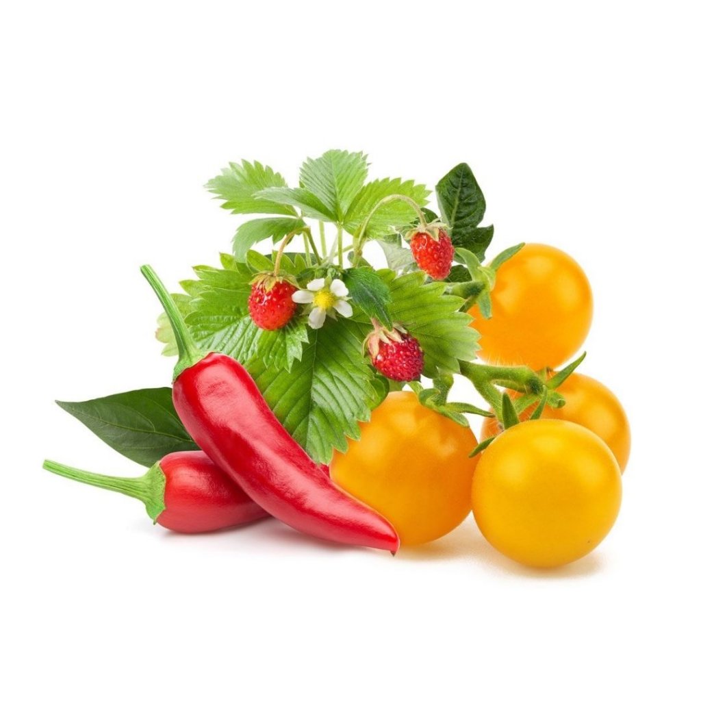 Click and Grow - Click and Grow Smart Garden Refill 9-pack Frukt och grönsaksmix