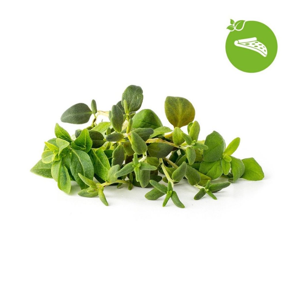 Click and Grow - Click and Grow Smart Garden Refill 9-pack Italienska örter