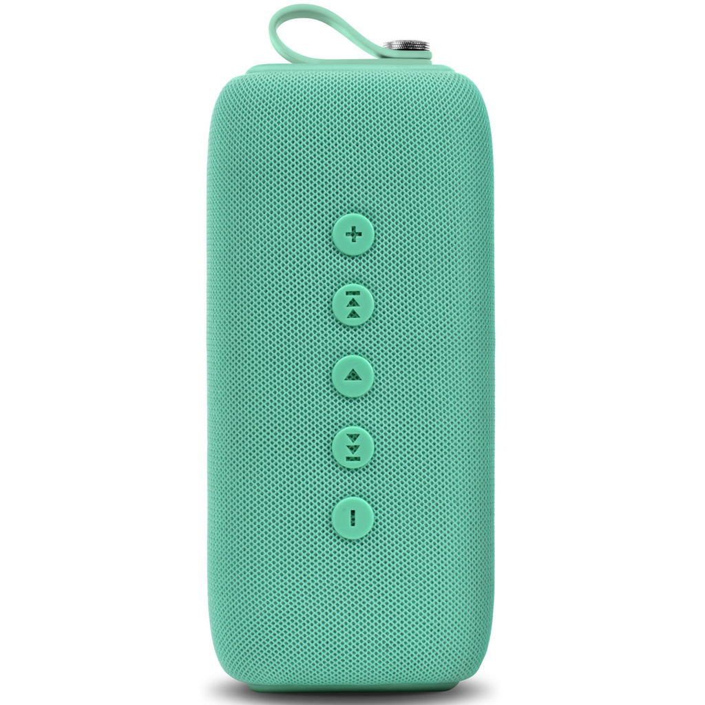 OEM
FRESH N REBEL Rockbox BOLD M - Peppermint