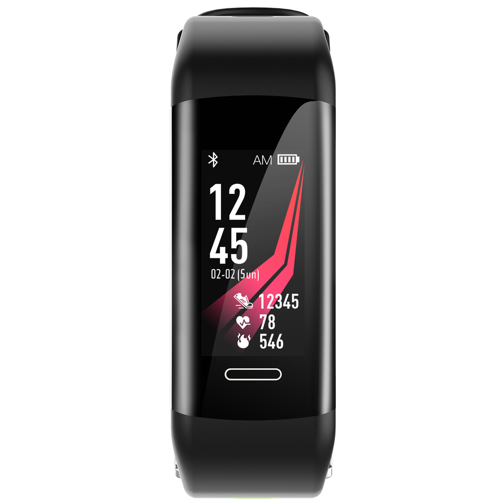 Denver
DENVER BFG-551 Black Fitnessband GPS