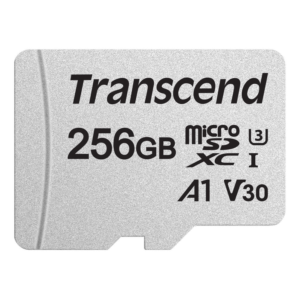 Transcend
Transcend microSDXC 256GB U3 (R95/W40)
