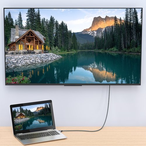 Wozinsky - Wozinsky HDMI Kabel 1m - Silver