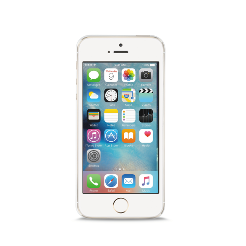 iPhone 5/5S/SE Puro 0.3 Ultra Slim Nude Silikone Cover 